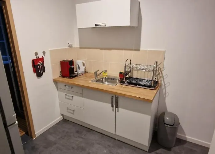 Appartement T3 Eaux-Bonnes * オー・ボンヌ